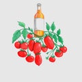 Bottle of Wine on Top of Plum Tomato or Roma Tomato Vine Watercolor Painting
