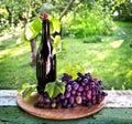 A bottle of wine, vine and bunch of grapes on a background of th Royalty Free Stock Photo