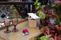 A bottle of wine in a wooden box and two glasses of brown glass on a wooden table in autumn scenery Royalty Free Stock Photo