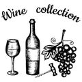 Bottle, wineglass, grapes, corkscrew. Lettering wine collection