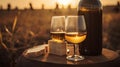 Bottle And WineGlasses On Barrel In Vineyard At Sunset, generative ai Royalty Free Stock Photo