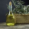 Italian olive oil in bottles with aromatic herbs Royalty Free Stock Photo