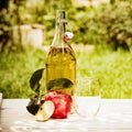 Bottled fresh apple juice served in the garden Royalty Free Stock Photo