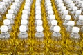 Bottled oil selling in a market Royalty Free Stock Photo
