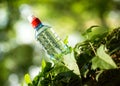 Bottled spring water Royalty Free Stock Photo