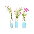 Flower in vase. Hand drawn illustration for your design