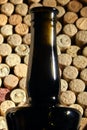 Bottleneck. Corked glass bottle of red wine Royalty Free Stock Photo