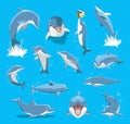 Bottlenose Dolphin Ball Cute Cartoon Vector Illustration