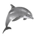 Bottlenose dolphin