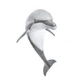 Bottlenose Dolphin - Tursiops Truncatus. Royalty Free Stock Photo