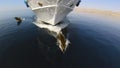 Bottlenose Dolphins (Tursiops truncatus) riding the bow waves of a dive boat in the Red Sea Royalty Free Stock Photo