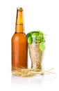 Bottler, Glass of barley and hops, Wheat ears Royalty Free Stock Photo