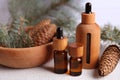 Bottles of aromatic essential oil, pine branches and cones on light grey table, closeup