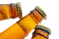 Bottles of beer Royalty Free Stock Photo