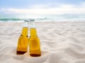 Bottles of Beer on the beach. Party, Friendship, Beer Concept. Royalty Free Stock Photo