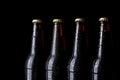 Bottles of beer Royalty Free Stock Photo