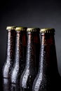 Bottles of beer Royalty Free Stock Photo