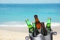 Bottles of beer with ice cubes in metal bucket against blurred ocean and beach Royalty Free Stock Photo