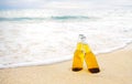 Bottles of Beer on the sandy beach with sea ocean background. Party, Friendship, Beer Concept Royalty Free Stock Photo