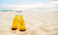 Bottles of Beer on the sandy beach with sea ocean background. Party, Friendship, Beer Concept Royalty Free Stock Photo