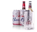 Bottles  of Bud beer on a white background, an American-style pale lager produced by Royalty Free Stock Photo