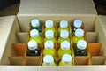 Bottles in a cardboard box Royalty Free Stock Photo
