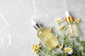 Bottles of chamomile essential oil and flowers on grey table, flat lay