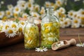 Bottles of chamomile essential oil or infusion, bunch of chamomile and bowl of daisy flowers on background.