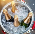 Bottles of champagne in bucket with ice on blurred background, closeup Royalty Free Stock Photo