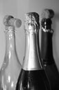 Bottles champagne stoppers party