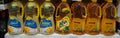 Bottles of cooking oils for sale. Corn, sunflower, extra virgin olive oils. Rows of high quality healthy cooking oil. Variety