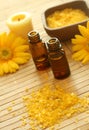 Bottles of essence oil, bath salt and gerb Royalty Free Stock Photo