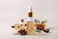 Bottles of essential oil, anise and seeds on white wooden table Royalty Free Stock Photo