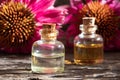 Bottles of essential oil with echinacea flowers Royalty Free Stock Photo
