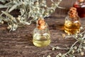 Bottles of essential oil with fresh blooming wormwood or Artemisia Absinthium plant