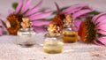 Bottles of essential oil with echinacea flowers in the background Royalty Free Stock Photo