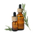 Bottles of essential oil and fresh rosemary isolated on white Royalty Free Stock Photo