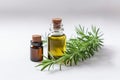Bottles of essential oil with fresh rosemary twigs on white background. Rosemary oil for hair growth in a small bottle surrounded