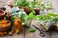 Bottles of essential oil or infusion of herbs and berries - calendula, mint, sage, oregano, healing plants and herbs.