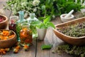 Bottles of essential oil or infusion of herbs - calendula, mint, thuja, monarda bergamot, rosemary. Royalty Free Stock Photo