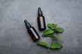 Bottles of essential oil and mint on grey table, flat lay Royalty Free Stock Photo