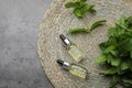 Bottles of essential oil and mint on grey table, top view. Space for text Royalty Free Stock Photo