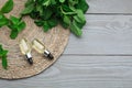 Bottles of essential oil and mint on grey wooden table, top view. Space for text Royalty Free Stock Photo