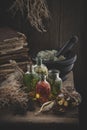 Bottles of essential oil, mortar of dried moss, old books, dry roots, nuts and plants.