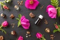 Bottles of essential oil with myrrh, frankincense and Rugosa roses Royalty Free Stock Photo