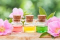 Bottles of essential oil and pink wild rose flowers Royalty Free Stock Photo