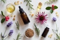 Selection of essential oils and herbs on a white background Royalty Free Stock Photo