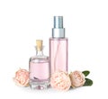 of essential oil and roses on white background Royalty Free Stock Photo