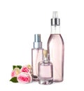 Bottles of essential oil and roses on white Royalty Free Stock Photo