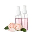 Bottles of essential oil and roses on white Royalty Free Stock Photo